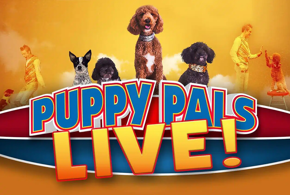 Puppy Pals Live